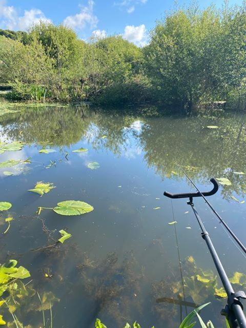 Vila Marsh Water Ponds Fishery Kidwelly Exteriér fotografie