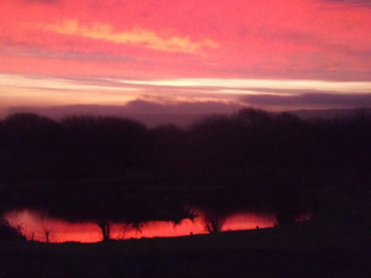 Vila Marsh Water Ponds Fishery Kidwelly Exteriér fotografie