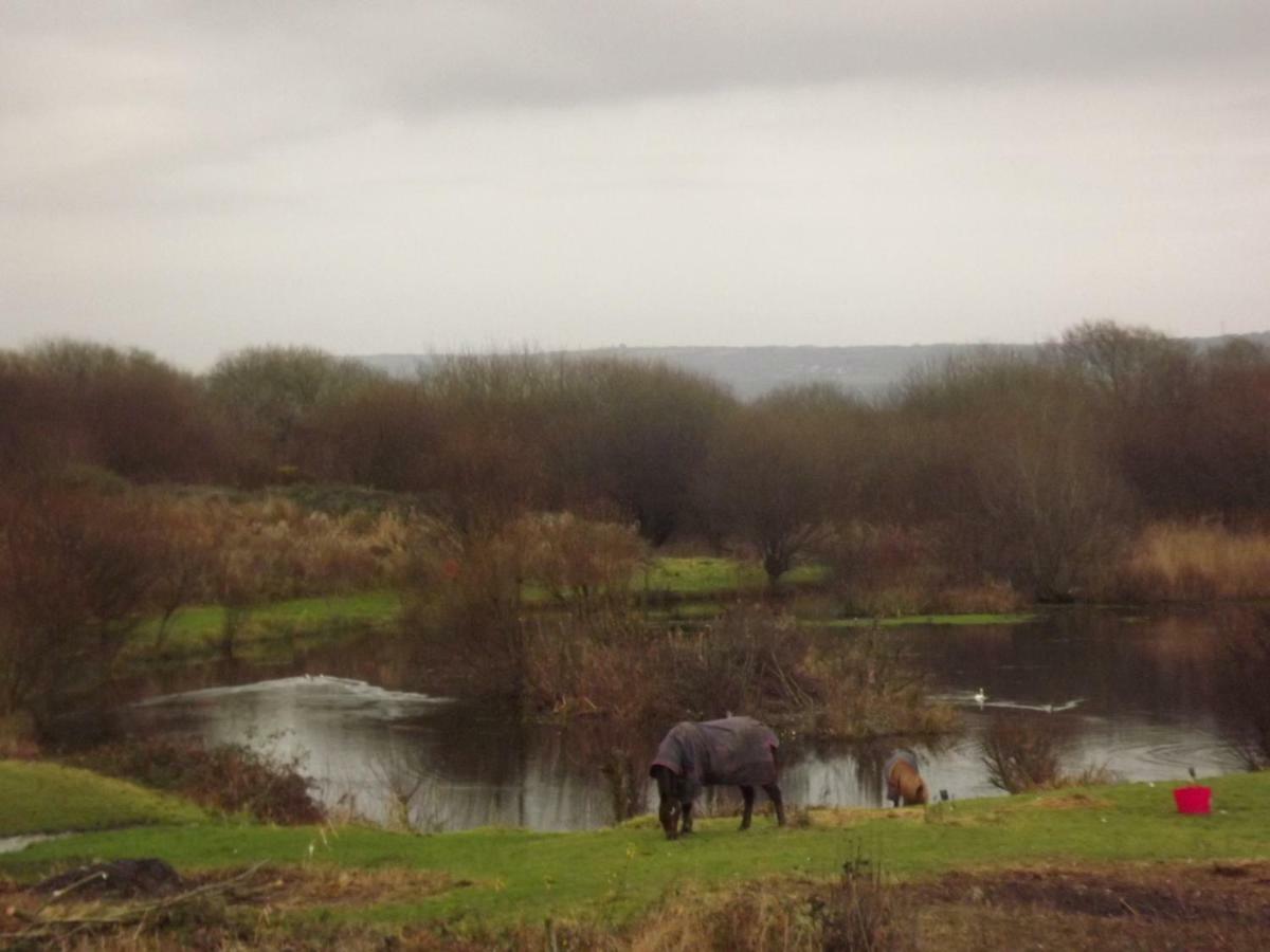 Vila Marsh Water Ponds Fishery Kidwelly Exteriér fotografie