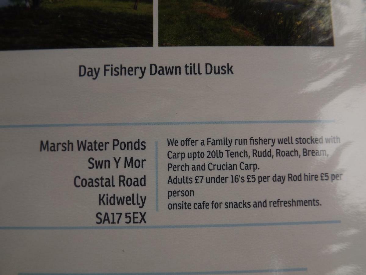 Vila Marsh Water Ponds Fishery Kidwelly Exteriér fotografie