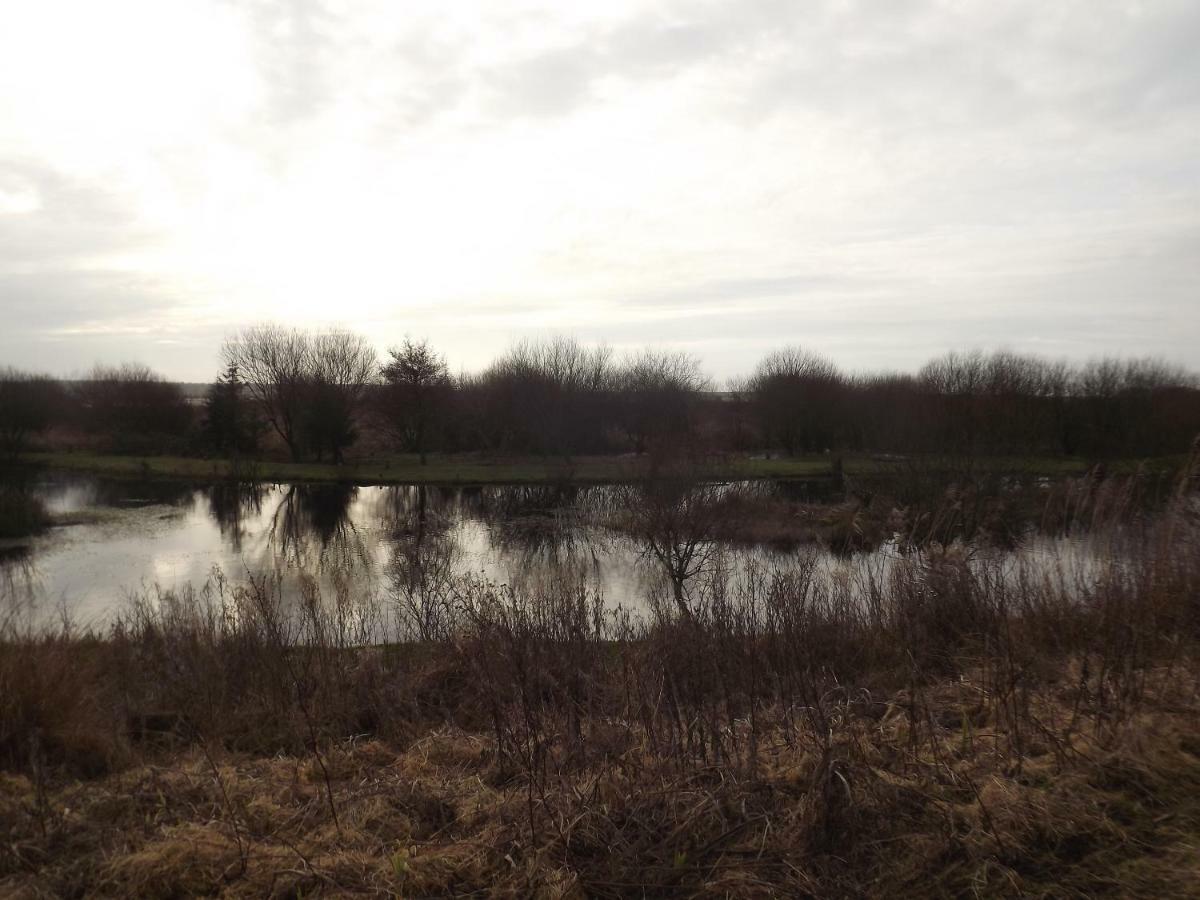 Vila Marsh Water Ponds Fishery Kidwelly Exteriér fotografie