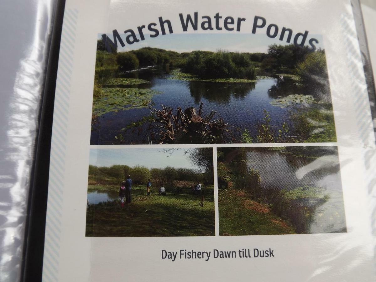 Vila Marsh Water Ponds Fishery Kidwelly Exteriér fotografie